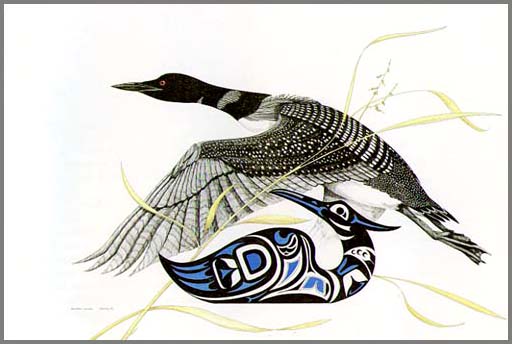 Loon In Flight